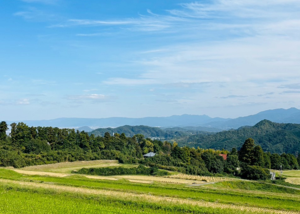 見晴らしのいい場所や神社などを楽しむ大人のお出かけの様子。
高齢者外出。